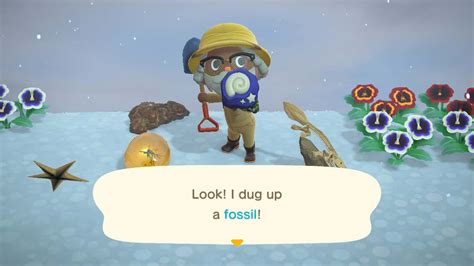 fossil prices acnh